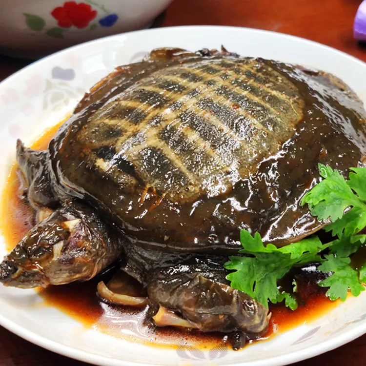 正宗荆沙卤甲鱼洪湖生态散养甲鱼卤制加热即食营养美味软烂鲜香