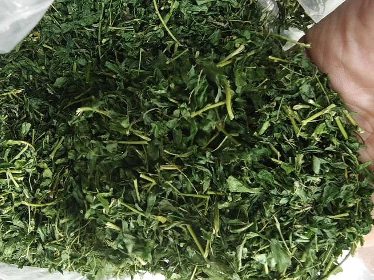 野生户肝茶油柑茶养生茶饮
