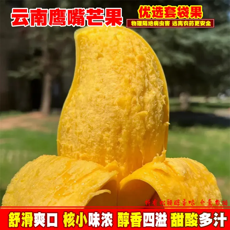 正宗云南鹰嘴芒芒果套袋甜心新鲜热带水果套袋生态果3-10斤装包邮