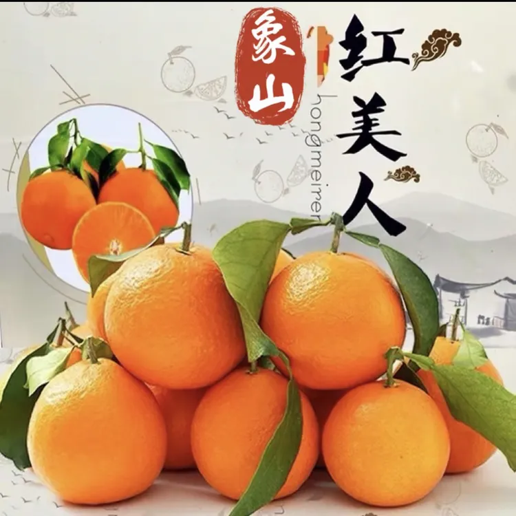 象山毛毛虫家红美人新鲜果品柑橘产地直发分享橙子真实抖音生活