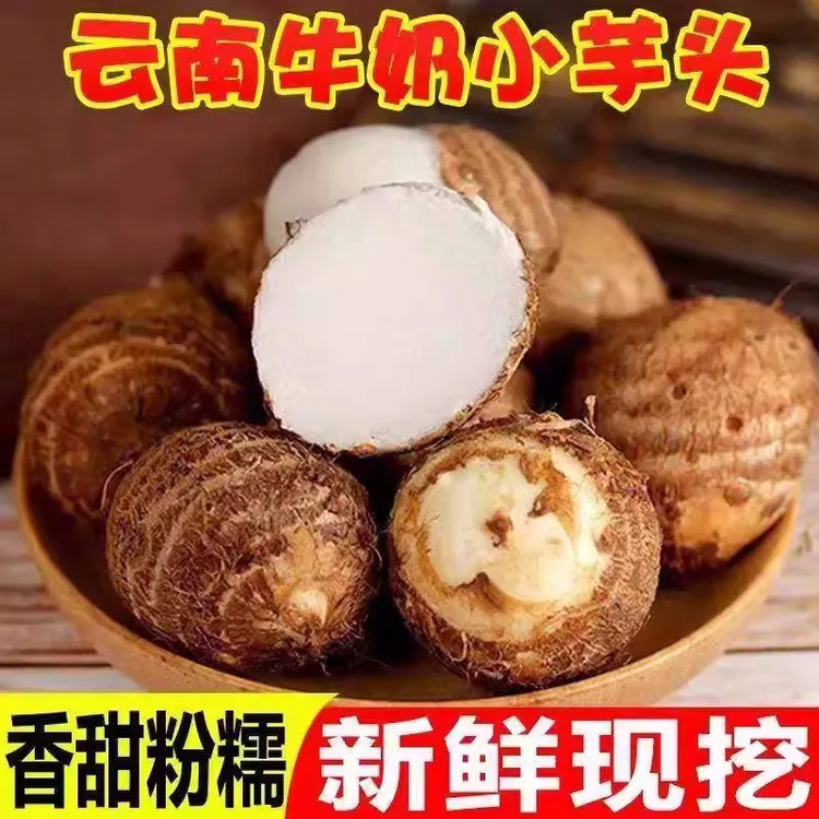 2025新挖现挖新鲜牛奶芋头云南高山小芋头仔小香芋芋艿现挖早餐