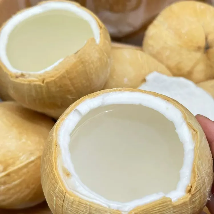 甄选泰国丹嫩沙多核心产区椰皇4-9颗装（400-700g/颗）顺丰包邮椰子