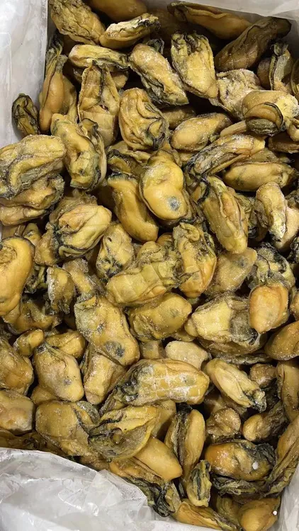 特色生晒金蚝干 台山出品 清蒸焖肉美味食材