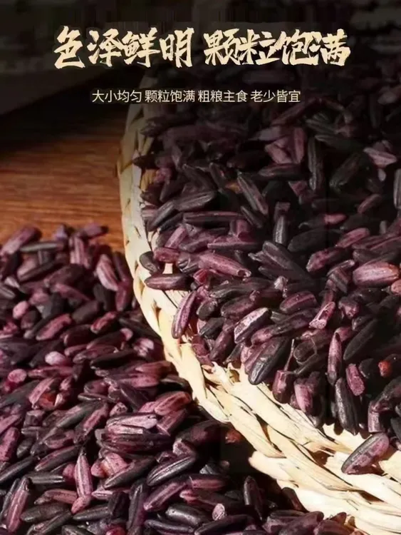 贵州高山梯田紫米农家直供天然健康优质米