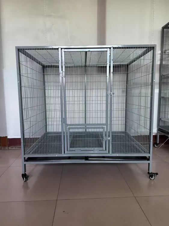 加密鸽子笼养鸟笼养殖笼