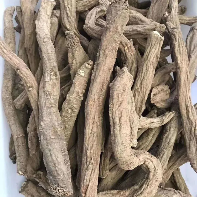 甘孜雪域高原藏党参煲汤干货整根发货