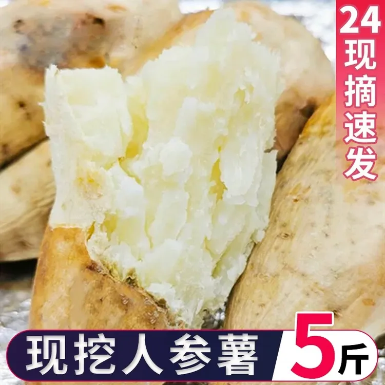 新鲜现挖白皮人参板栗薯白心地瓜粉面香甜