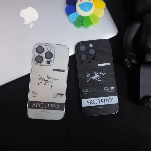 潮牌骨架鸟全包适用iphone16promax高级感苹果/14/15/16pro手机壳