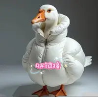 4#【编号400-499】找对应价格下单编号 高品质时尚女装