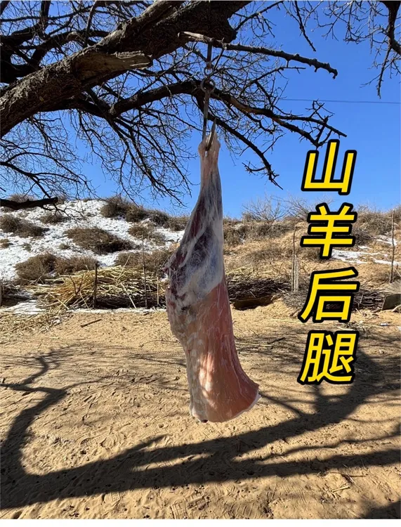 后腿带骨肉(去油淋巴)【包邮】