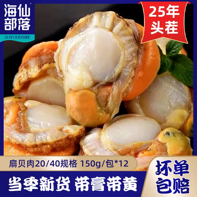 【当季头茬】特大号扇贝肉20-40规格 栉孔扇贝带膏带黄 150g/袋