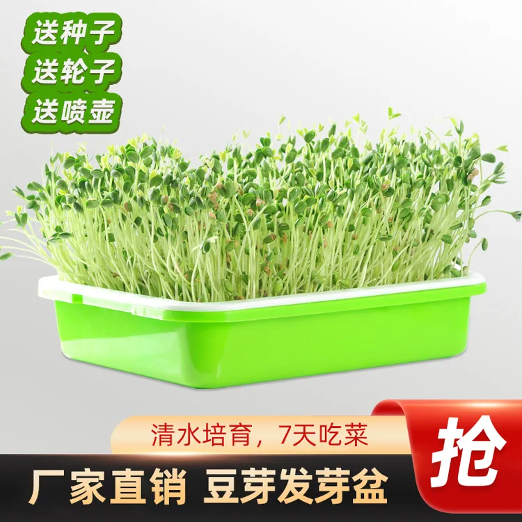 水培芽苗菜育苗盘蔬菜器皿芽苗菜豆芽发芽盆无土栽培育苗架托盘