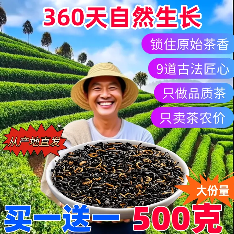 【新客福利】红茶2025新茶茶叶高山云雾茶工夫红茶浓香蜜香耐泡袋装