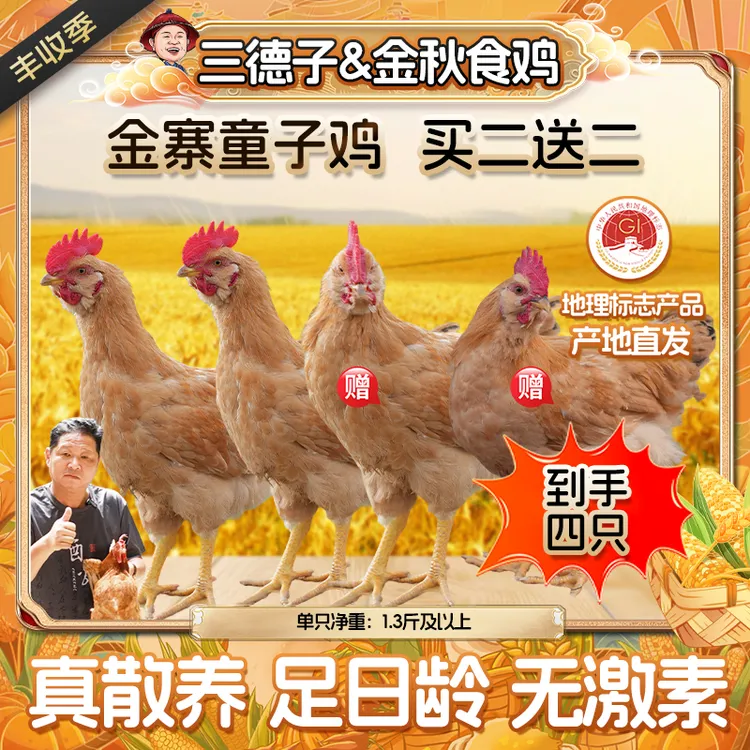 三德子【金寨童子鸡买2赠2】山地散养土鸡 仔公鸡清蒸白切安徽发货