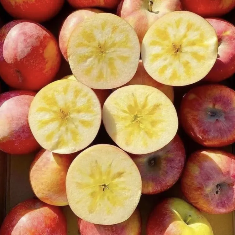 【冰糖心】红富士苹果山西运城新鲜脆甜多汁冰糖心产地直发包邮