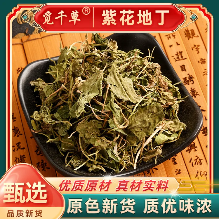 紫花地丁草特产苦地丁草紫花地丁紫地丁草地丁草新货