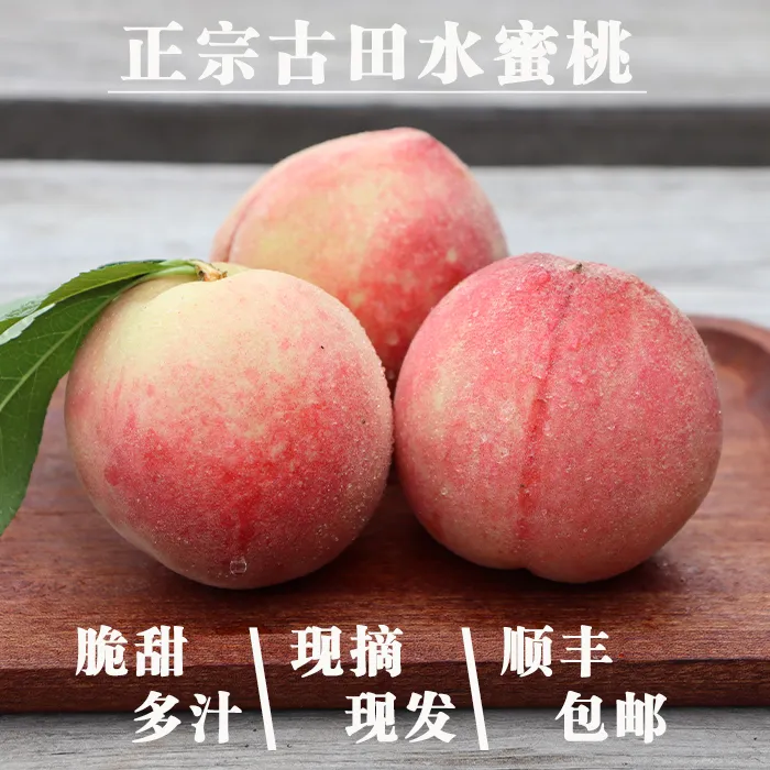 正宗古田白凤桃水蜜桃脆甜吃多汁当季水果4.5斤顺丰包邮