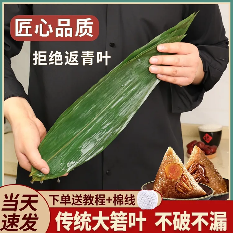 100张天然新鲜粽叶真空传统箬叶非芦苇叶手工包粽子专用粽子叶
