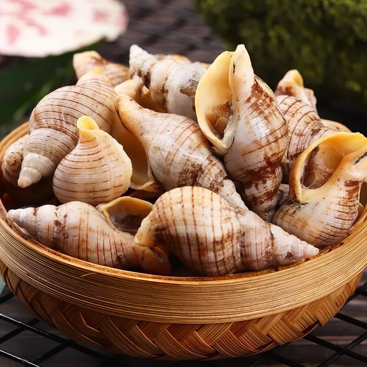 5斤新鲜红枣螺顺丰发货