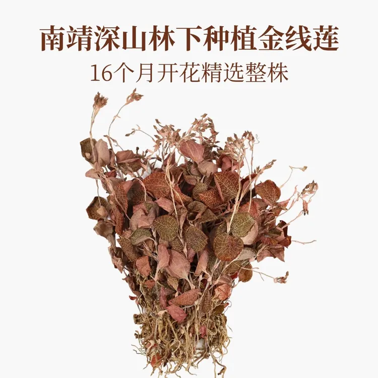 正宗南靖金线莲深山林下仿野生种植24个月开花精选整株干品