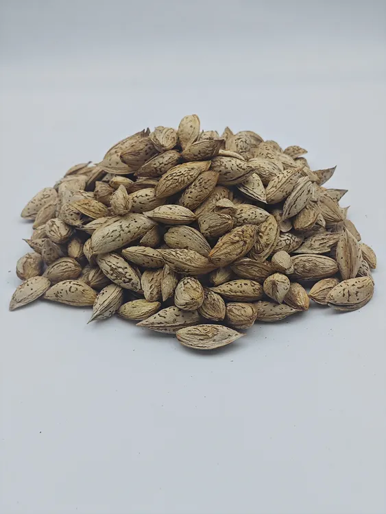 新疆喀什薄壳大纸皮巴旦木颗颗饱自然晒干营养健康零食