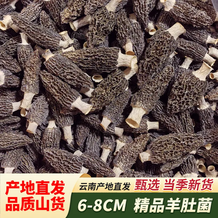 精品羊肚菌（6-8cm）