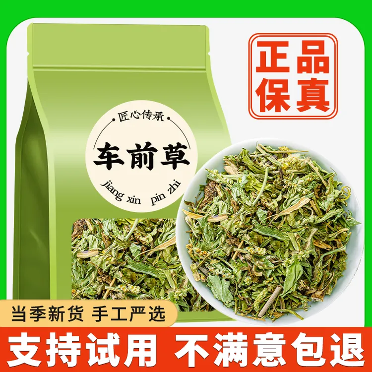 车前草干货新鲜车前草茶泡水专用泡茶喝自然晾晒新货正品正宗批发