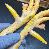 文玩鸡爪骨手把件（一对粗蹬 处理好十天左右发货）