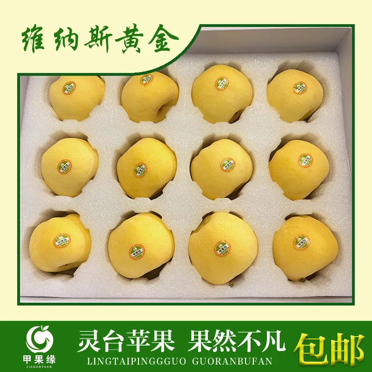 灵台特产维纳斯黄金苹果