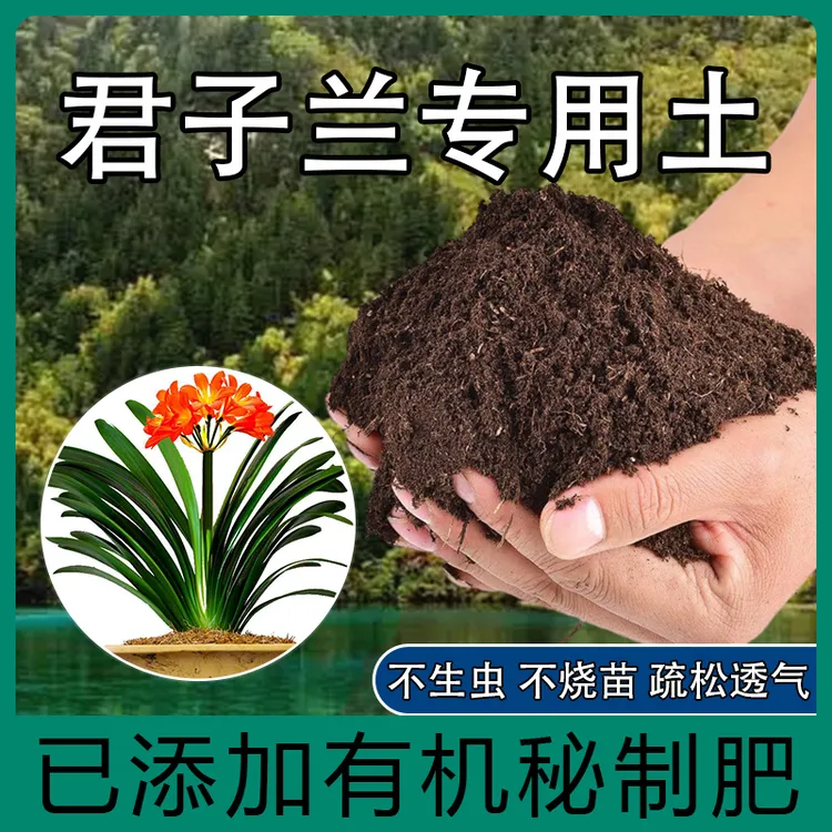 君子兰专用土君子兰肥料营养土养花种花土盆栽通用种植土有机土壤