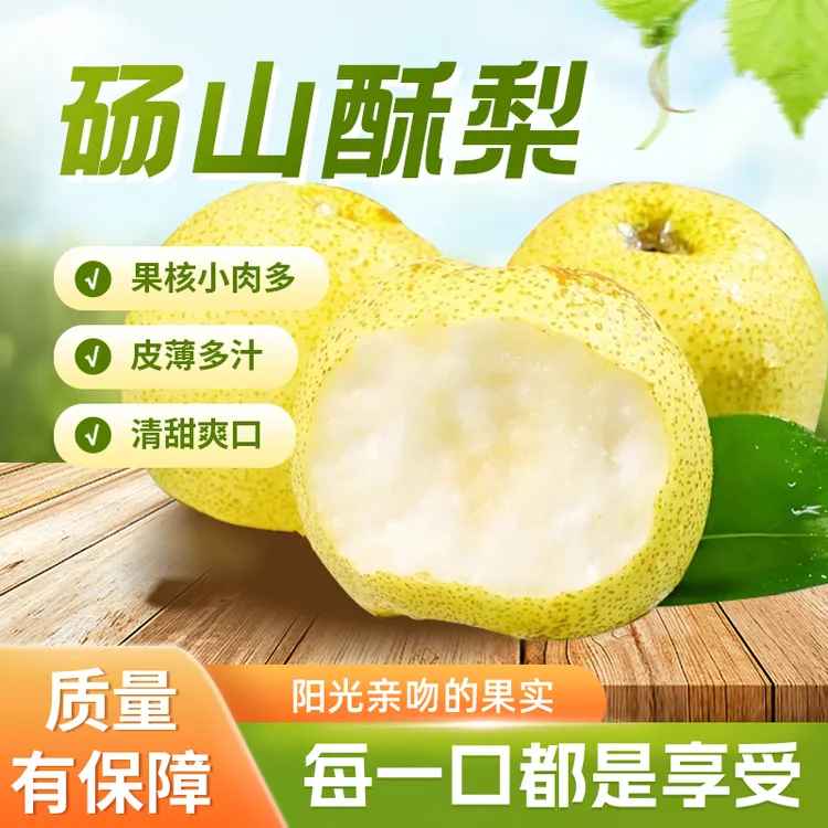 砀山梨老树梨王新鲜采摘现摘现发脆甜多汁无渣皮薄发布