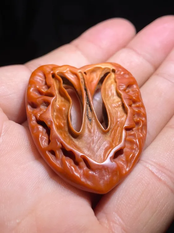 一物一图（169）：异形核桃切片 正 尺寸高50