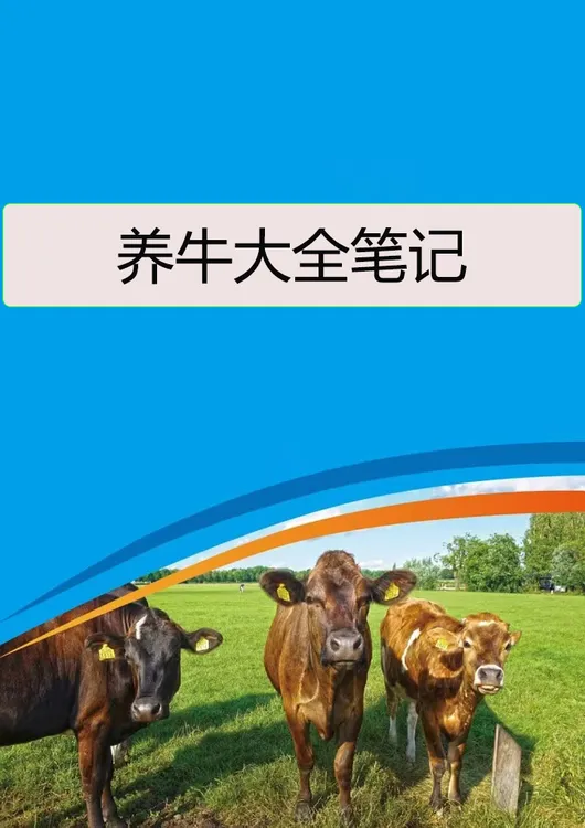 养牛学习笔记本（学习专用）