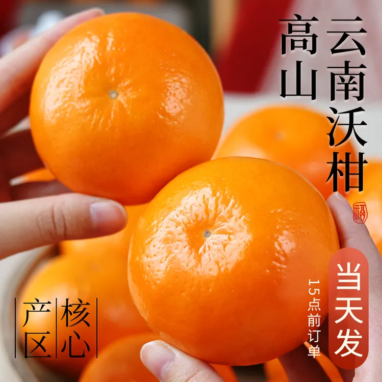 沃柑正宗云南高原新鲜桔子水果橘子当季皇帝蜜柑橘砂糖桔包邮