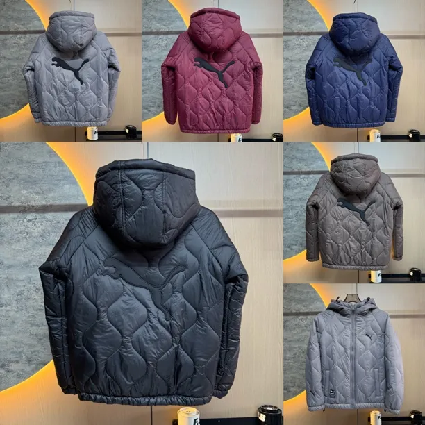 秋冬新款连帽时尚百搭刺绣休闲薄棉棉衣A9902