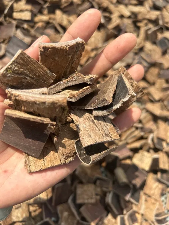 杜仲皮 去粗皮 煲汤泡酒好料滋补养生 农家特产