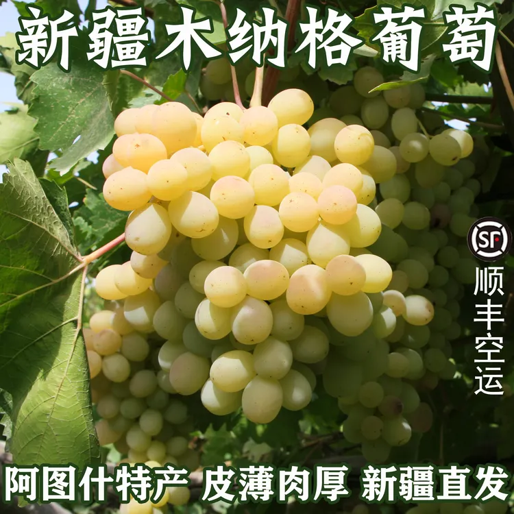 【顺丰空运】正宗新疆木纳格葡萄阿图什特产皮薄肉厚香甜产地直发