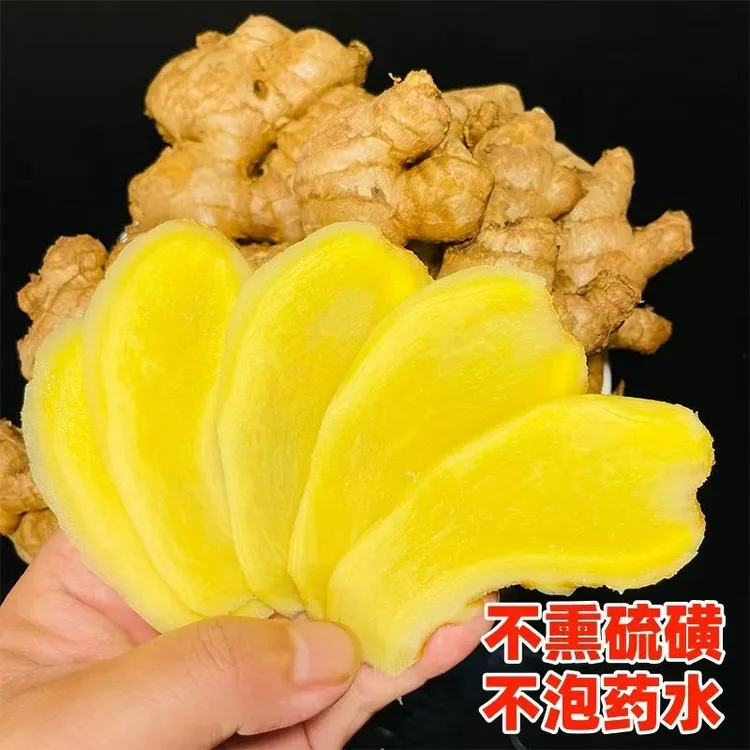 云南高山小黄姜露天种植现挖现发小黄姜今年新姜辛辣小黄姜整块姜