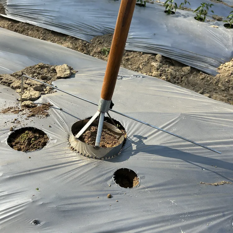 辣椒西瓜茄子圣女果农用木柄地膜定位打孔神器不锈钢孔径16cm