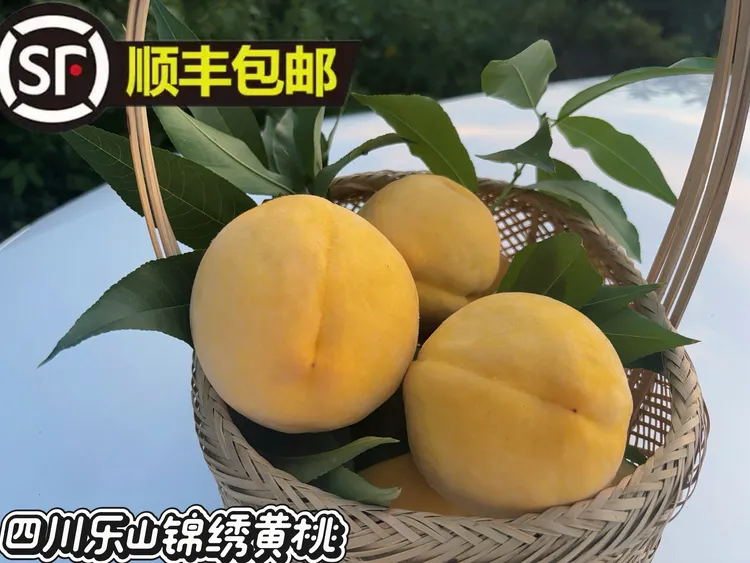 【顺丰包邮】四川乐山锦绣黄桃新鲜采摘脆甜多汁黄心红米毛桃