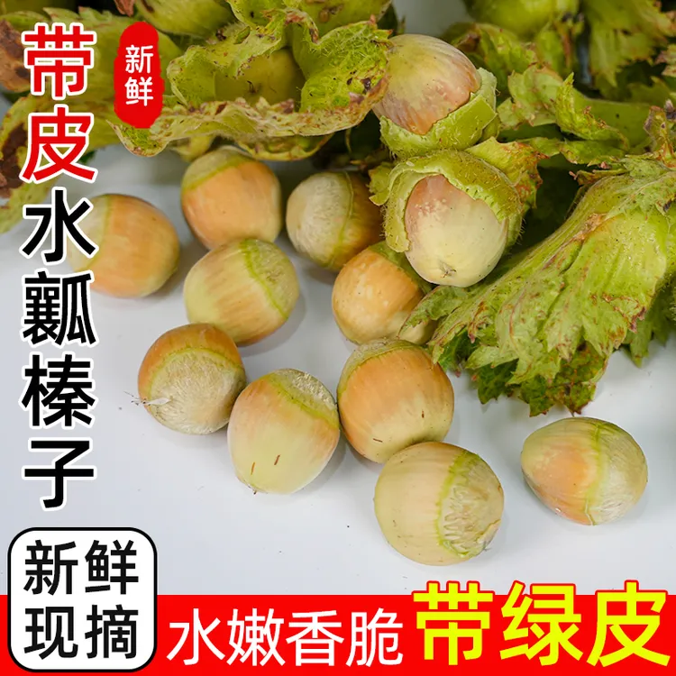 新鲜生榛子辽宁大榛子东北榛子现摘新货原味坚果