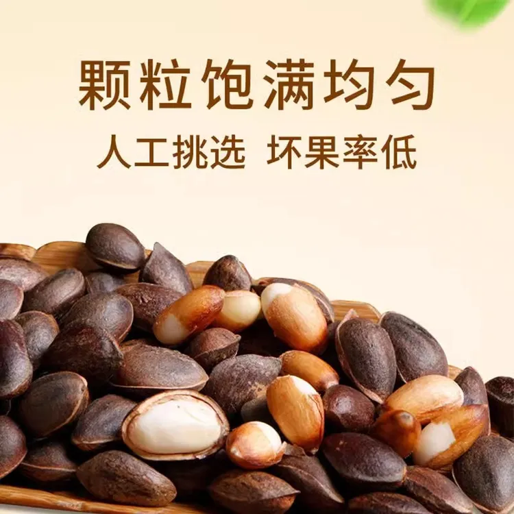 (送夹子)云南新鲜薄壳生松子末加工生吃原味落水松子饱满 1/2/3斤
