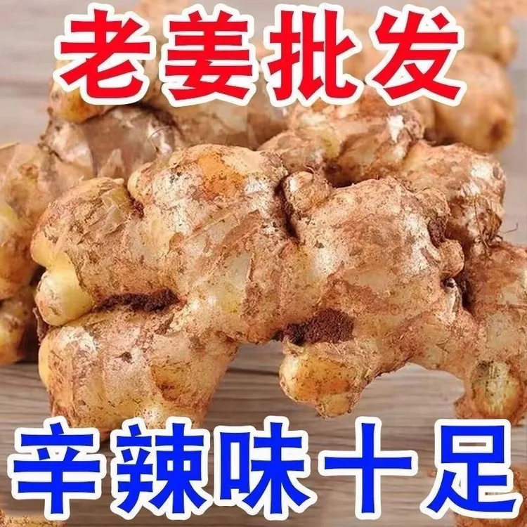 贵州农家自种小黄姜老姜生姜新鲜蔬菜产地直发辛辣提香