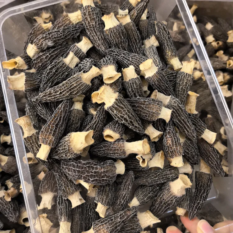 六妹头茬羊肚菌菌菇干货肉厚煲汤蒸蛋酿虾滑小马营养丰富