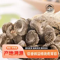 【子归山】鹿茸菇干货脆嫩鲜爽正宗脆脆菇炒肉煲汤火锅菌菇