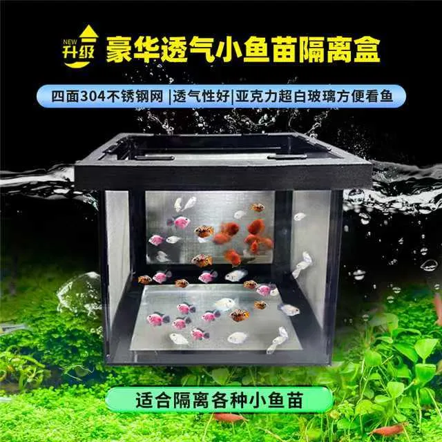 不讲李专属80目304不锈钢亚克力隔离盒迷你鹦鹉鱼苗专0.26空隙四面不锈钢网