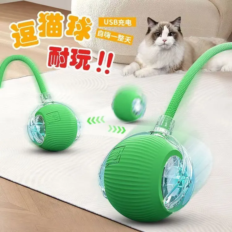 狗狗玩具自动遛狗球宠物小狗自嗨解闷耐咬电动智能逗狗跳跳球神器