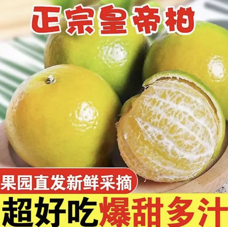 广东高州正宗当季皇帝柑新鲜水果爆甜多汁皮薄肉厚