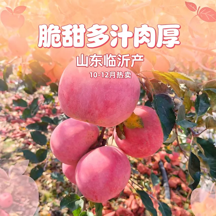 山东正宗红富士当季水果苹果香甜可口肉厚多汁脆甜整箱