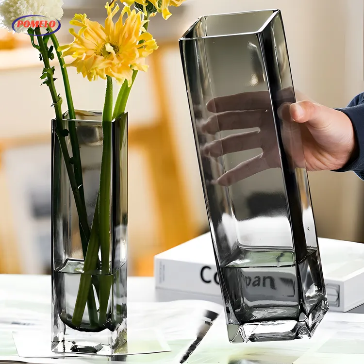 柚萝轻奢创意高级感原色玻璃透明花瓶客厅软装饰水养水培鲜花插花